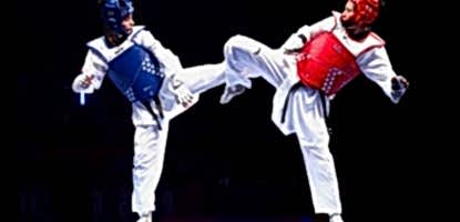 WAYCHAMP ARTIK TÜRKİYE'DE