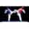 Taekwondo
