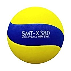 Summit X380 Mini Voleybol Topu